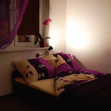 Very Berry - Old Town, Parking, Lift, Reception 24h Hostal Poznan